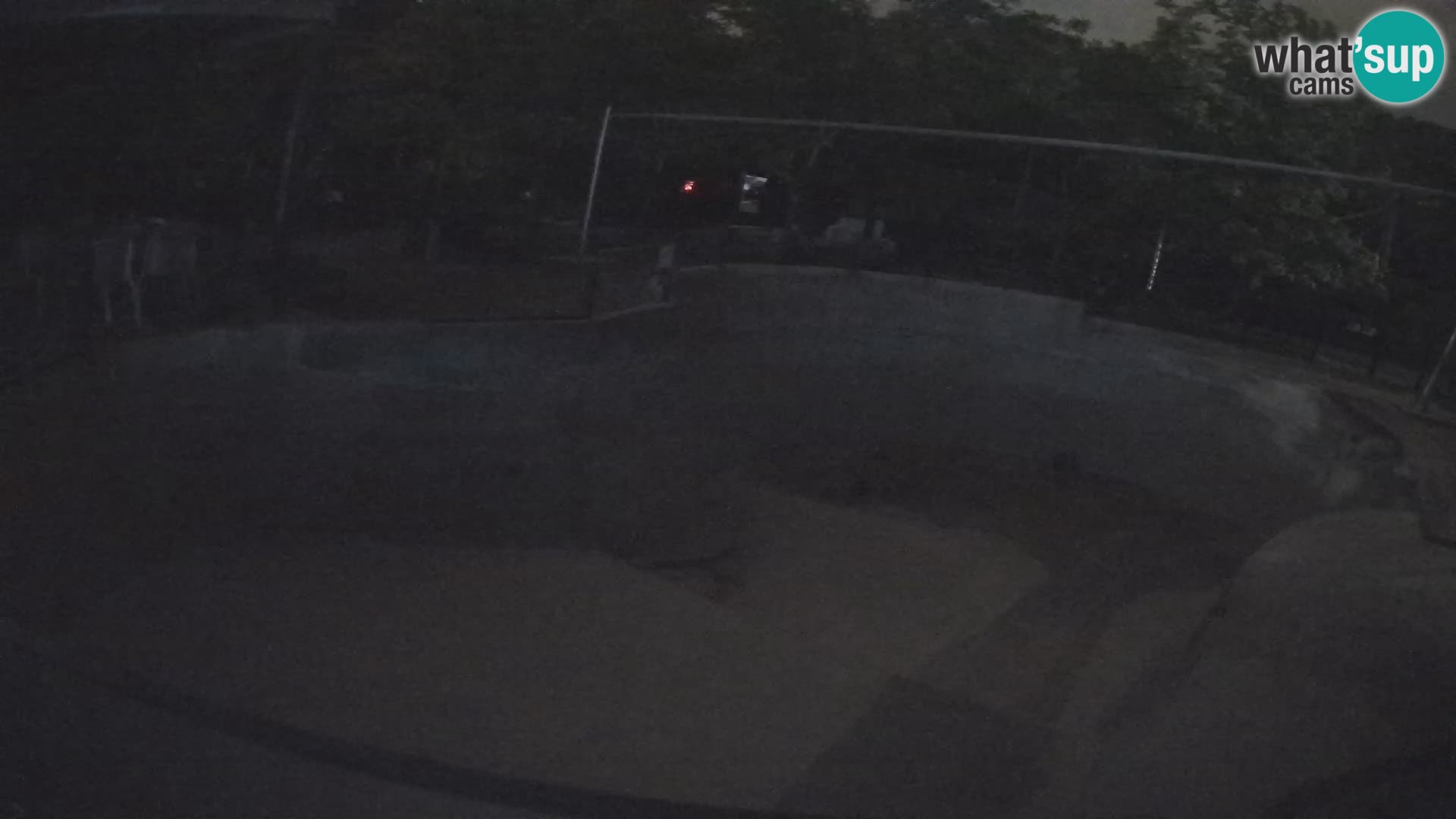 Zoo Zagreb – Kalifornijski morski lav