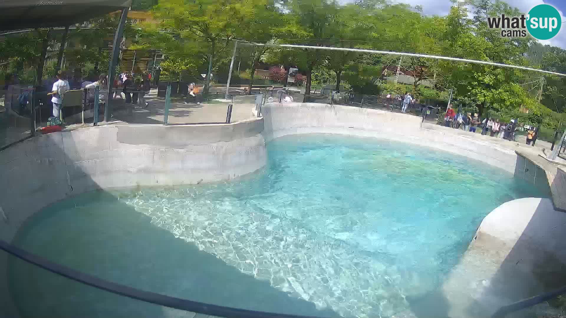 Zoo Zagreb – Kalifornijski morski lev