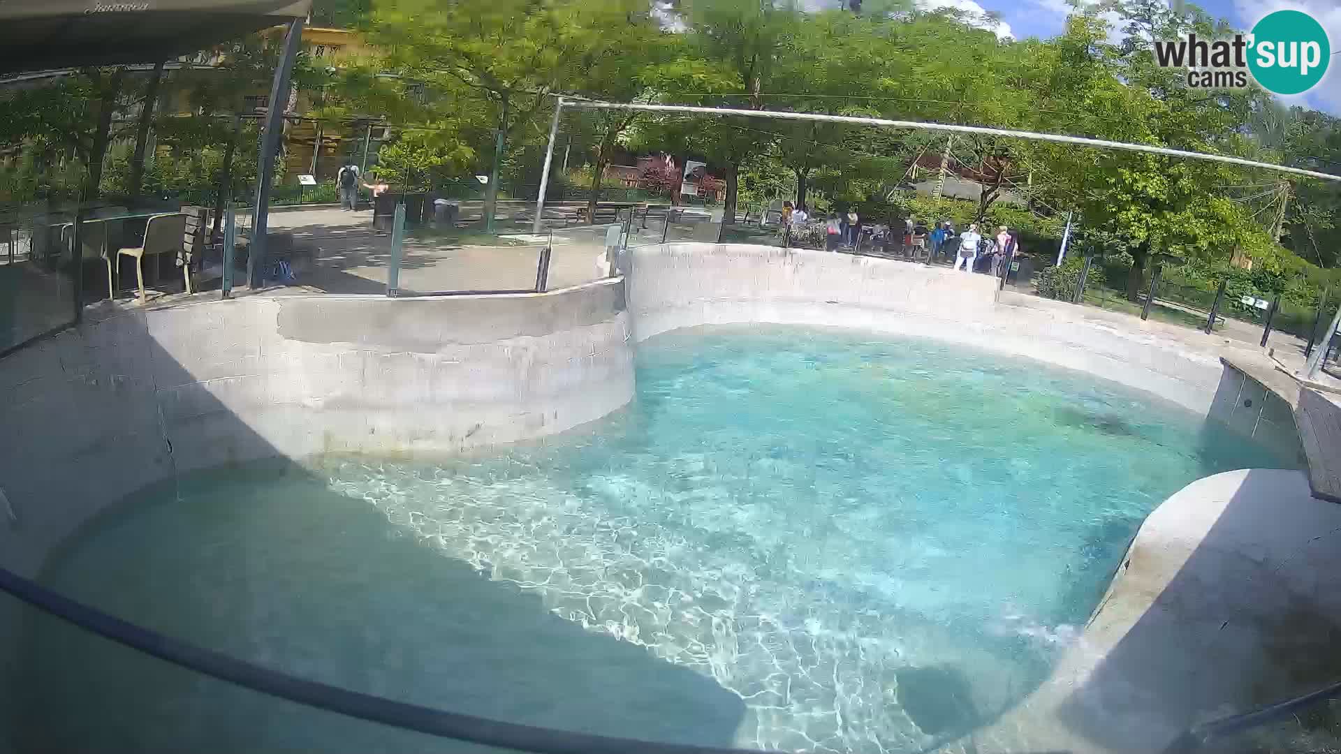 Zoo Zagreb – Kalifornijski morski lev