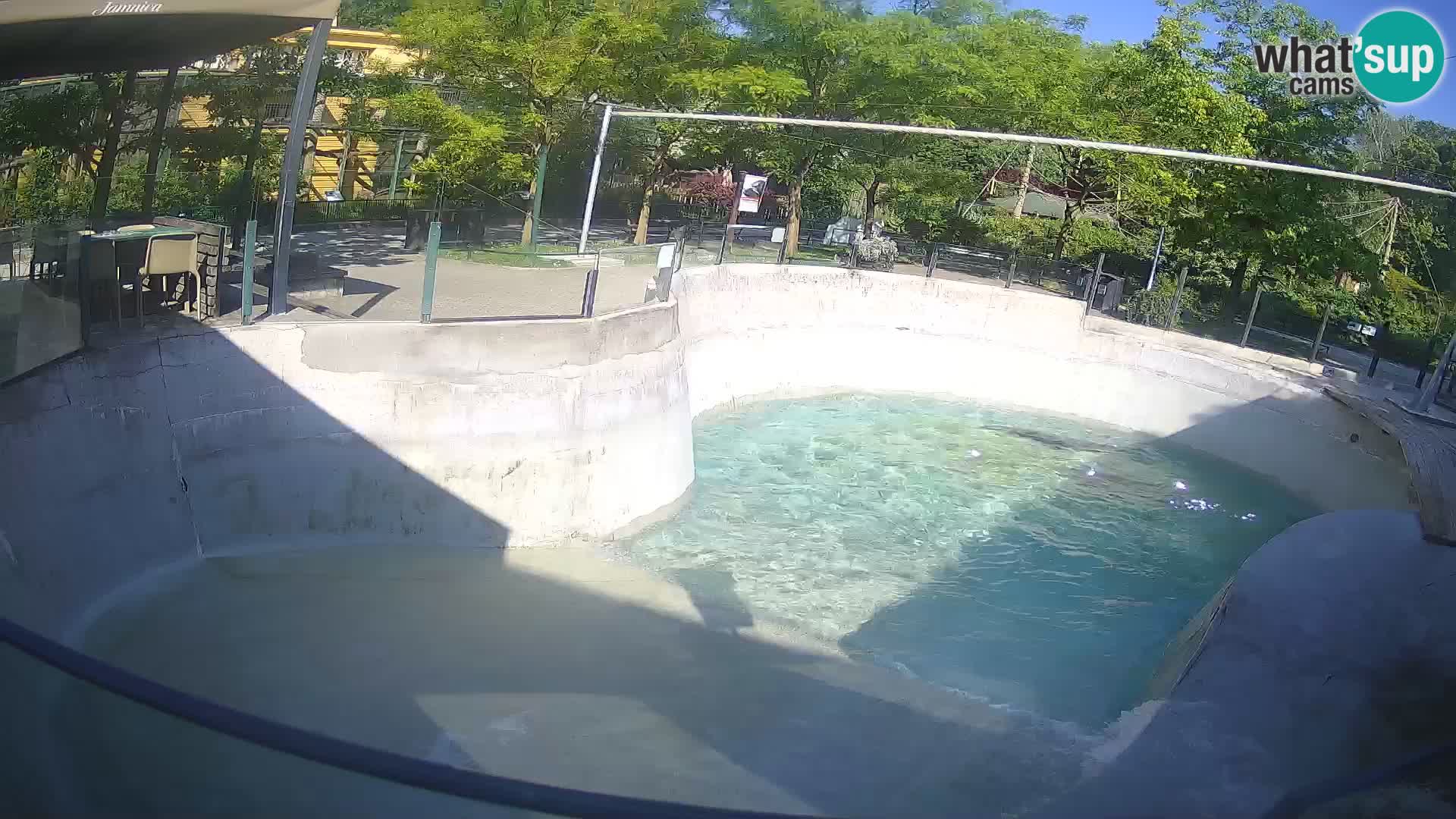 Zoo Zagreb – Kalifornijski morski lav