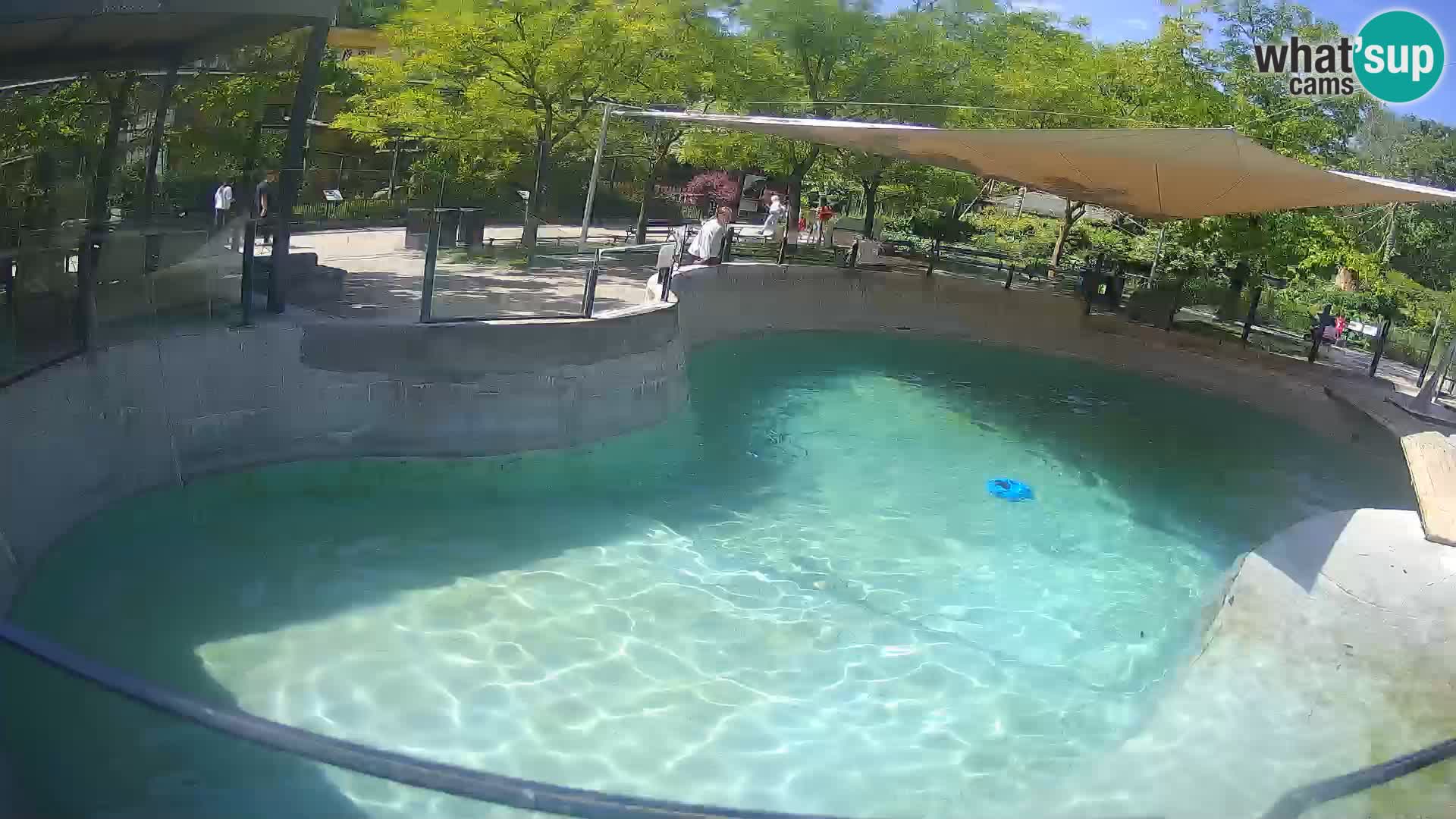Zoo Zagreb – Kalifornijski morski lev