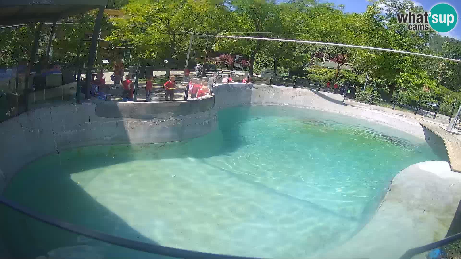 Zoo Zagreb – Kalifornijski morski lev