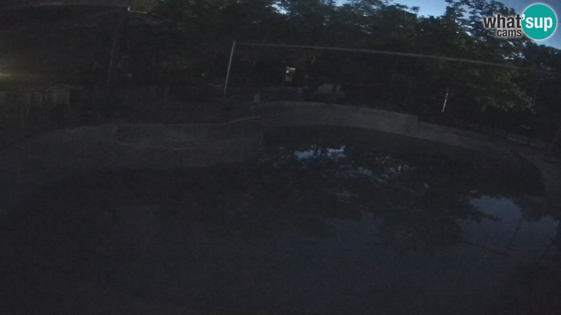 Zoo Zagreb – California Sea Lion