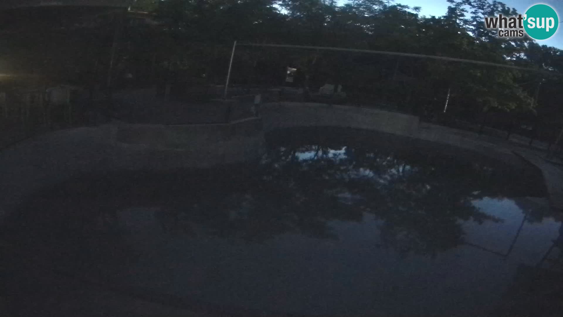 Zoo Zagreb – California Sea Lion