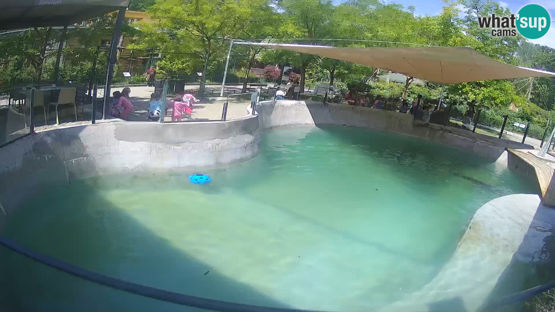 Zoo Zagreb – Kalifornijski morski lev