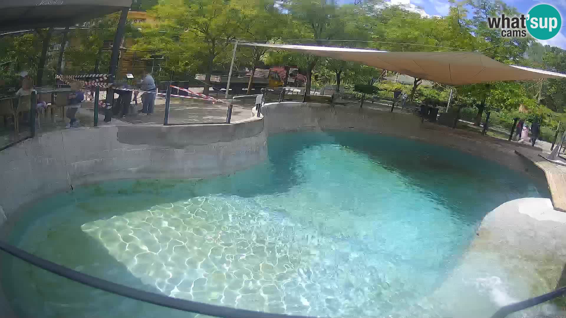 Zoo Zagreb – Otaria della California