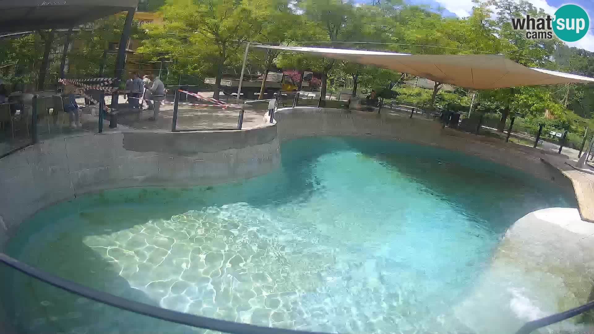 Zoo Zagreb – California Sea Lion