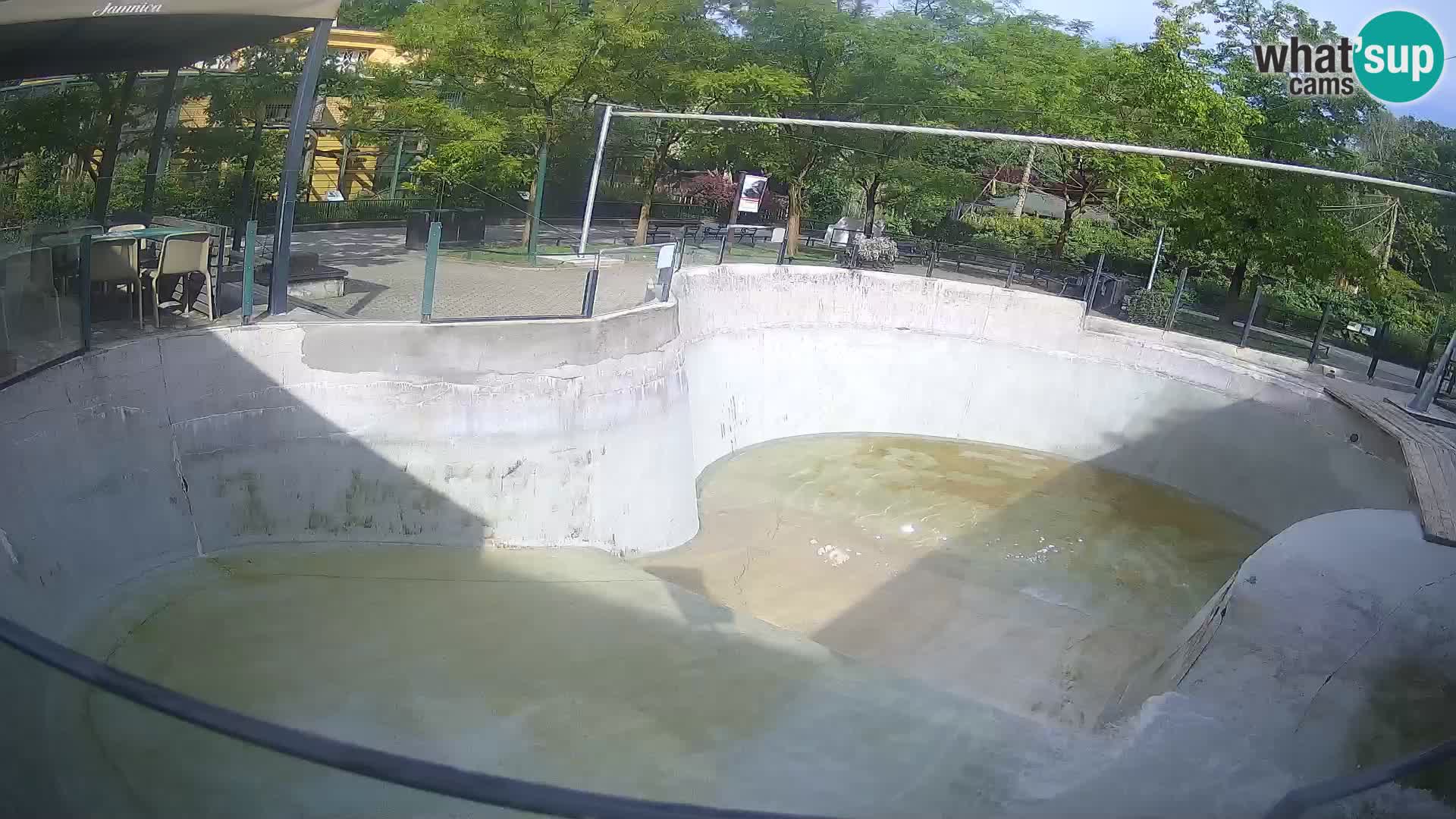 Zoo Zagreb – Kalifornijski morski lev