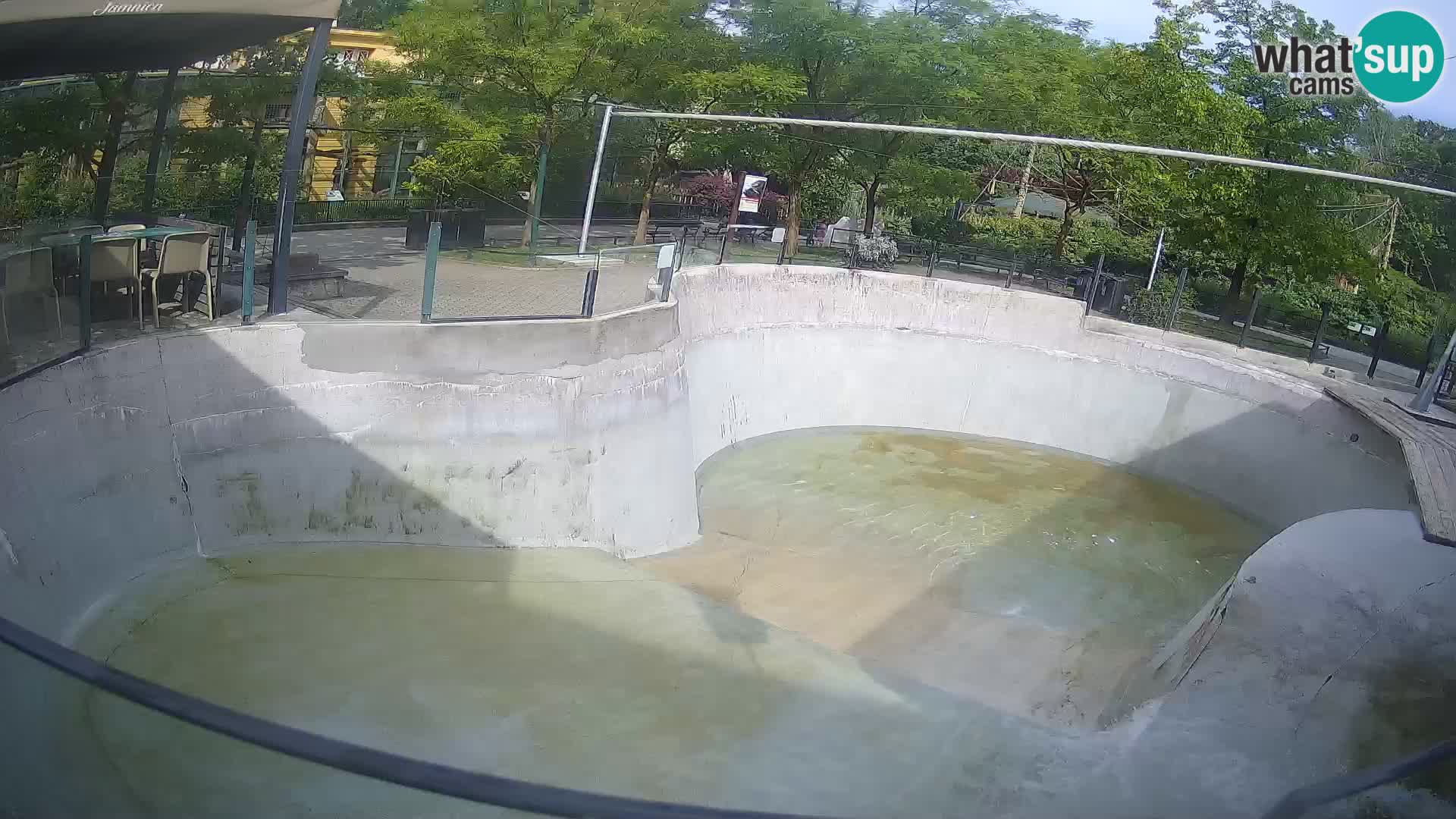 Zoo Zagreb – Kalifornijski morski lav