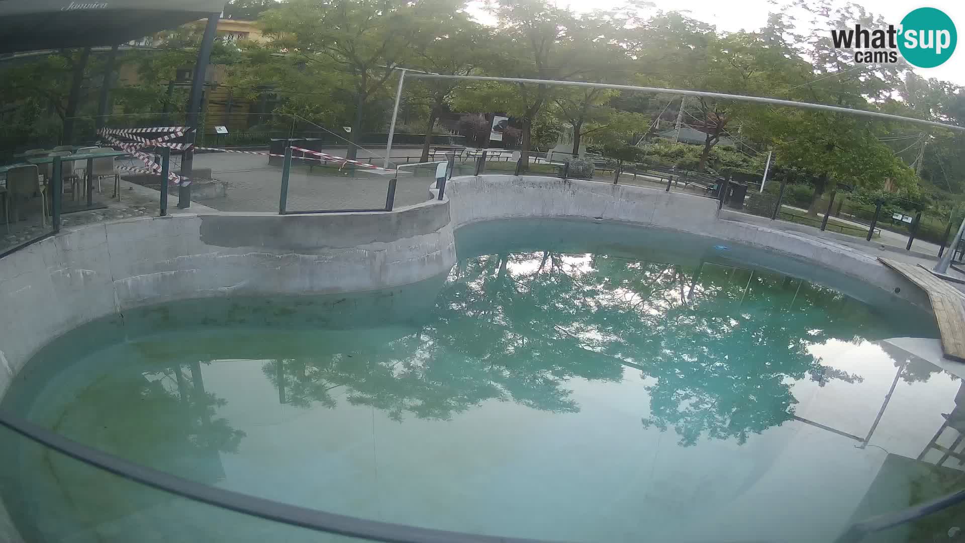 Zoo Zagreb – Kalifornijski morski lev