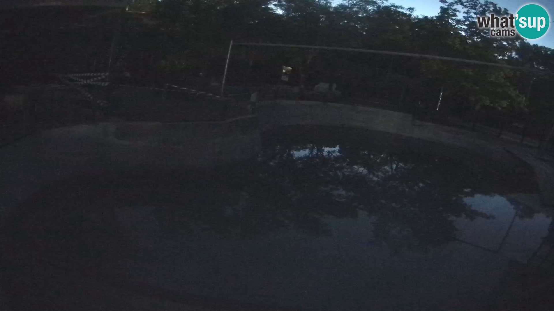 Zoo Zagreb – California Sea Lion