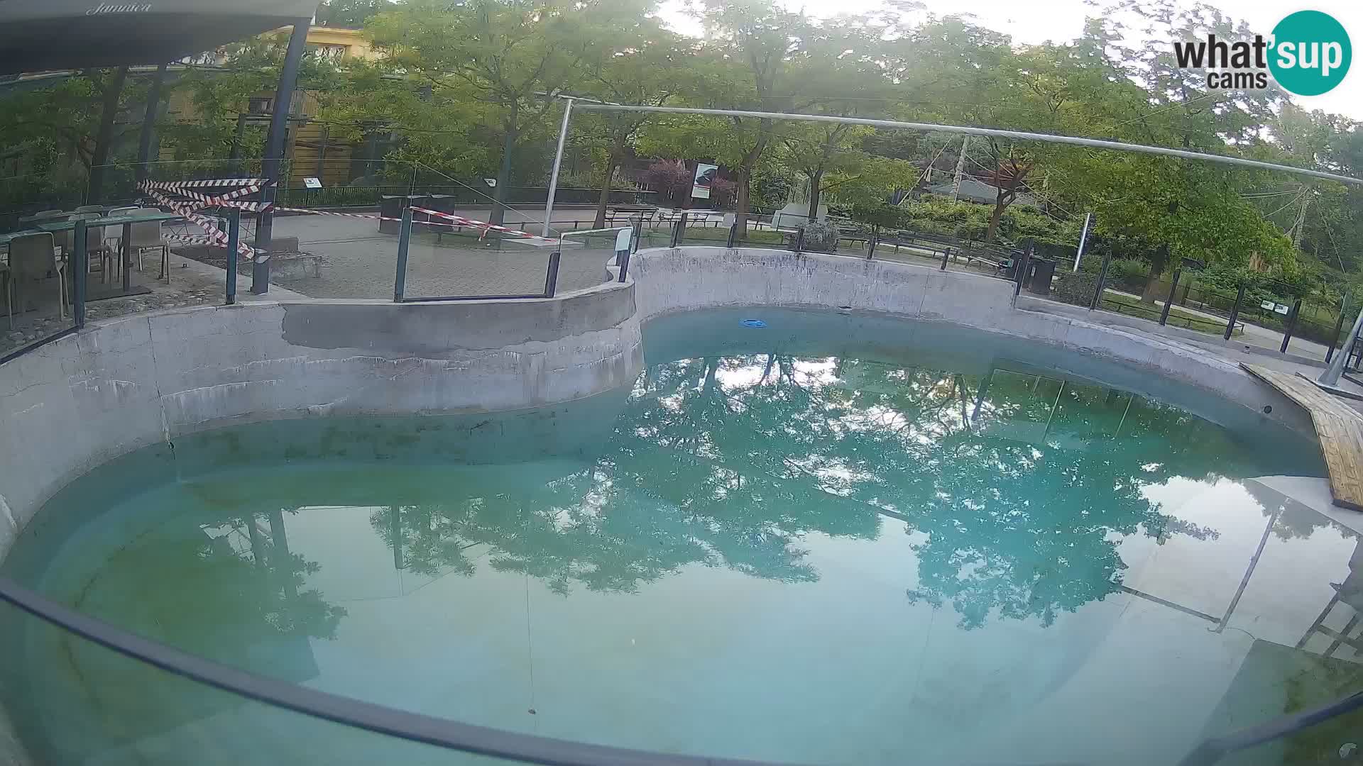 Zoo Zagreb – Kalifornischer Seelöwe