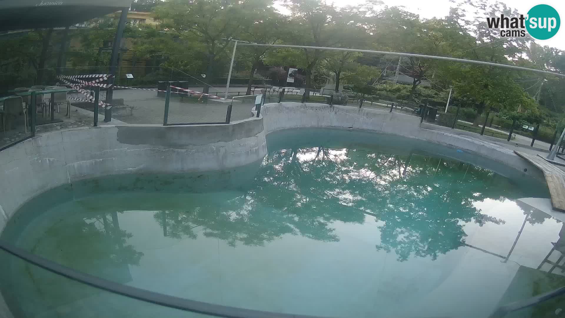Zoo Zagreb – Kalifornischer Seelöwe