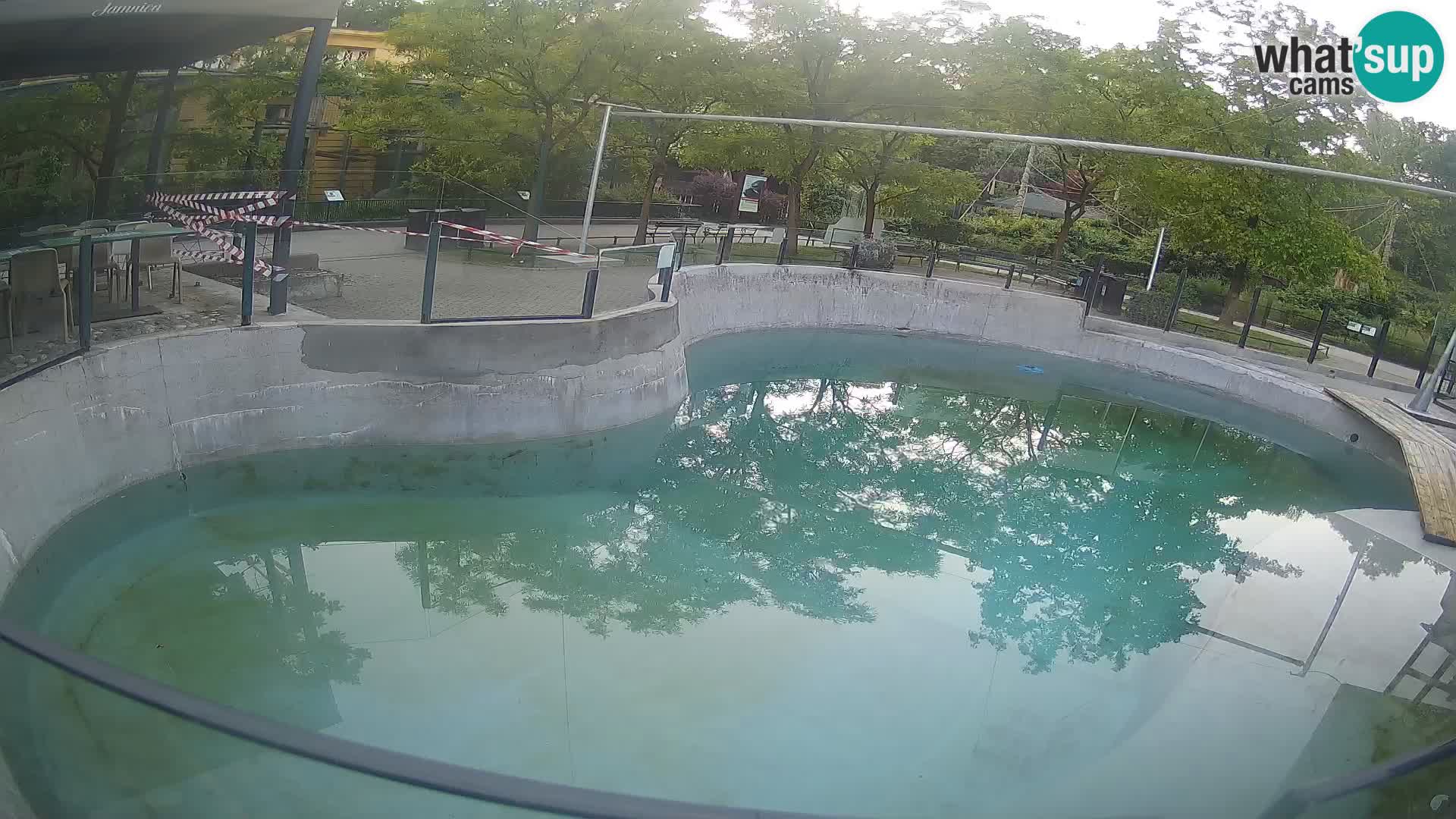 Zoo Zagreb – Otarie de Californie