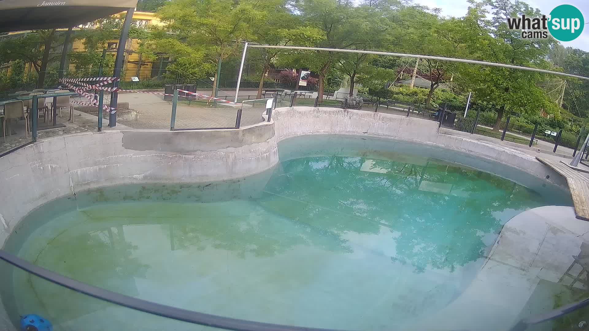 Zoo Zagreb – California Sea Lion