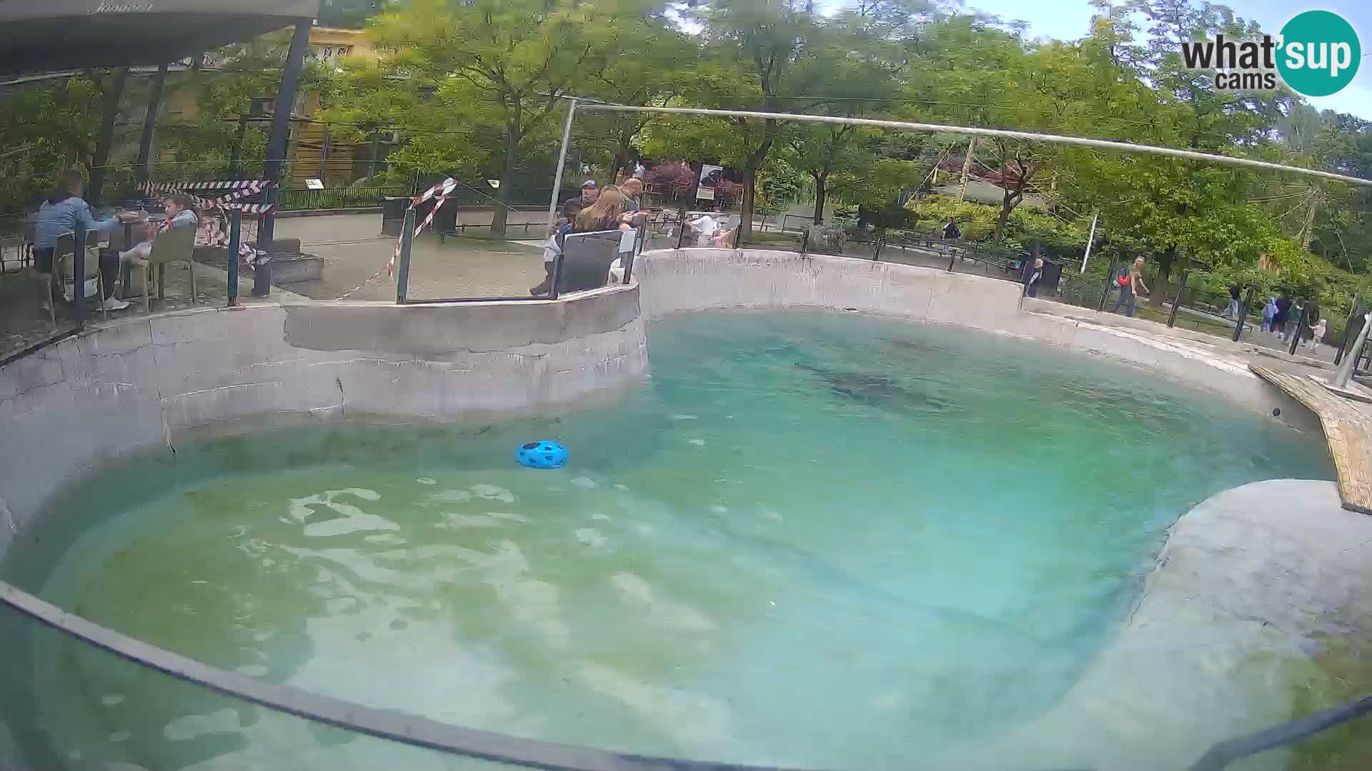 Zoo Zagreb – Otarie de Californie