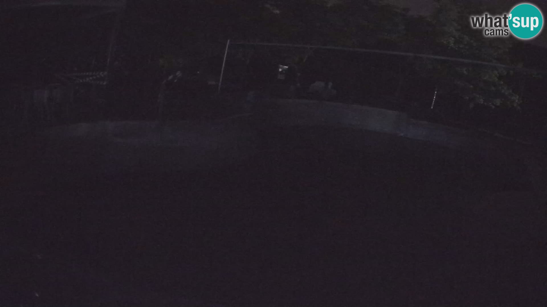 Zoo Zagreb – California Sea Lion