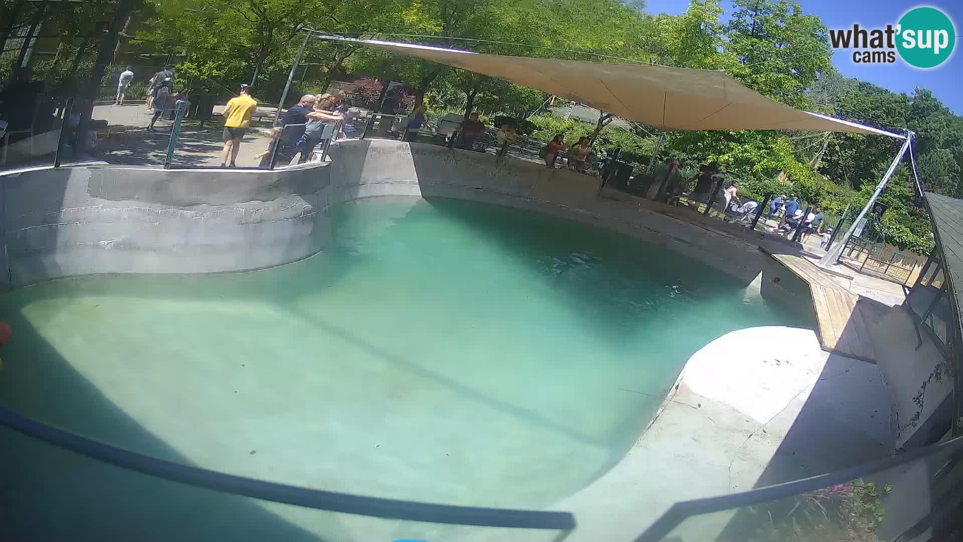 Zoo Zagreb – Kalifornijski morski lev