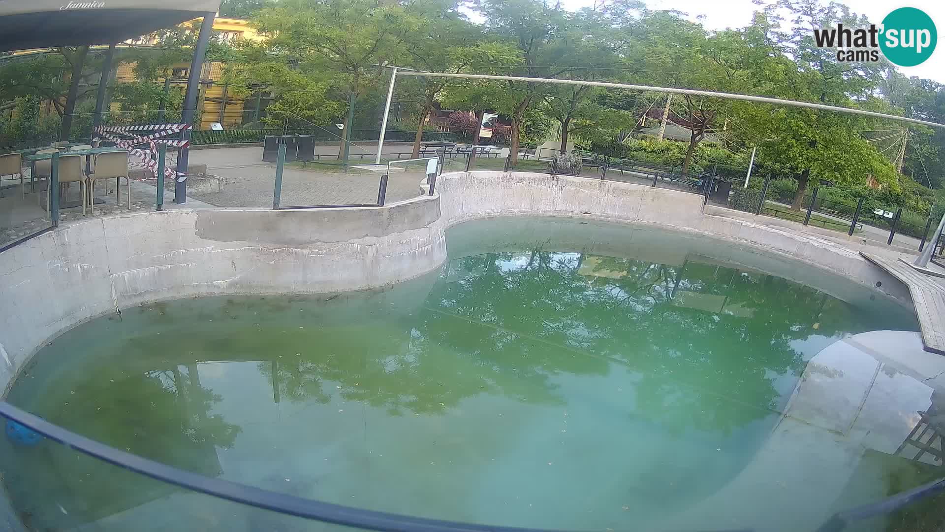 Zoo Zagreb – Otarie de Californie