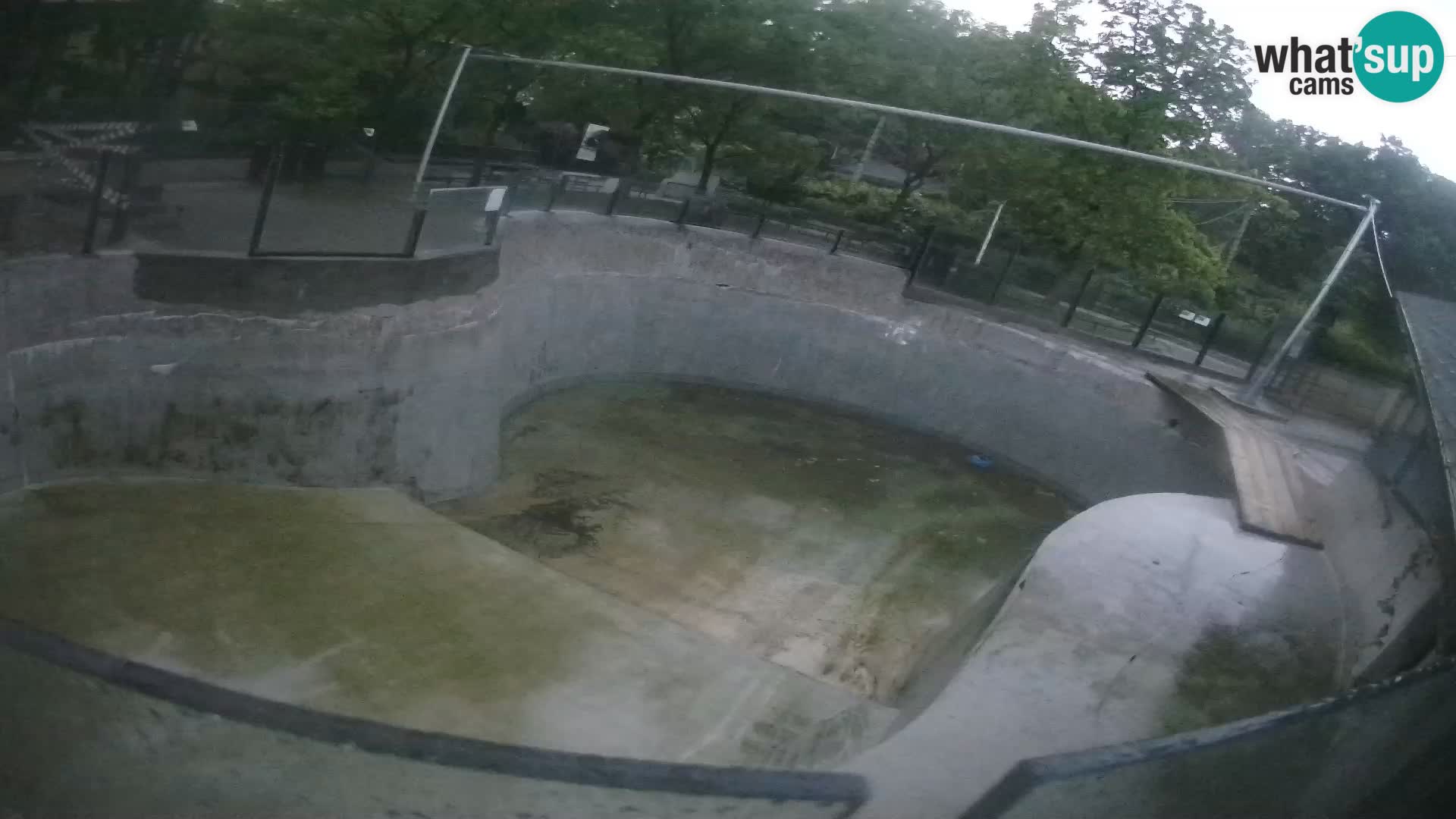 Zoo Zagreb – Kalifornijski morski lav