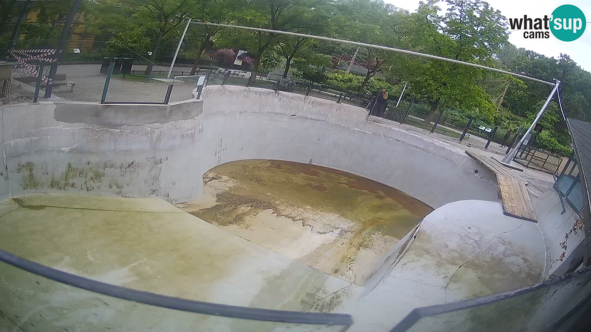 Zoo Zagreb – Kalifornijski morski lev