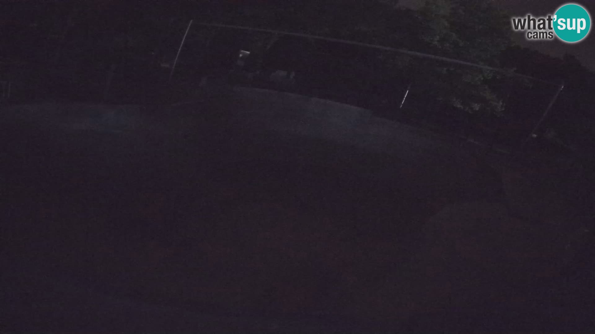 Zoo Zagreb – Kalifornijski morski lav