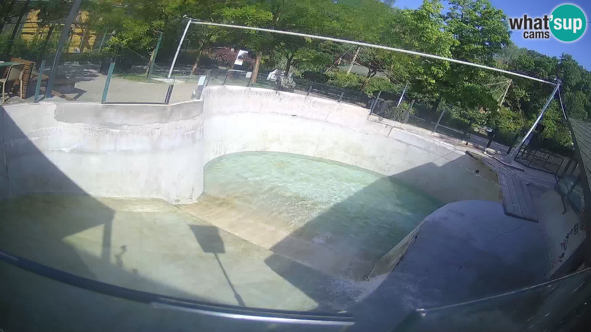 Zoo Zagreb – California Sea Lion