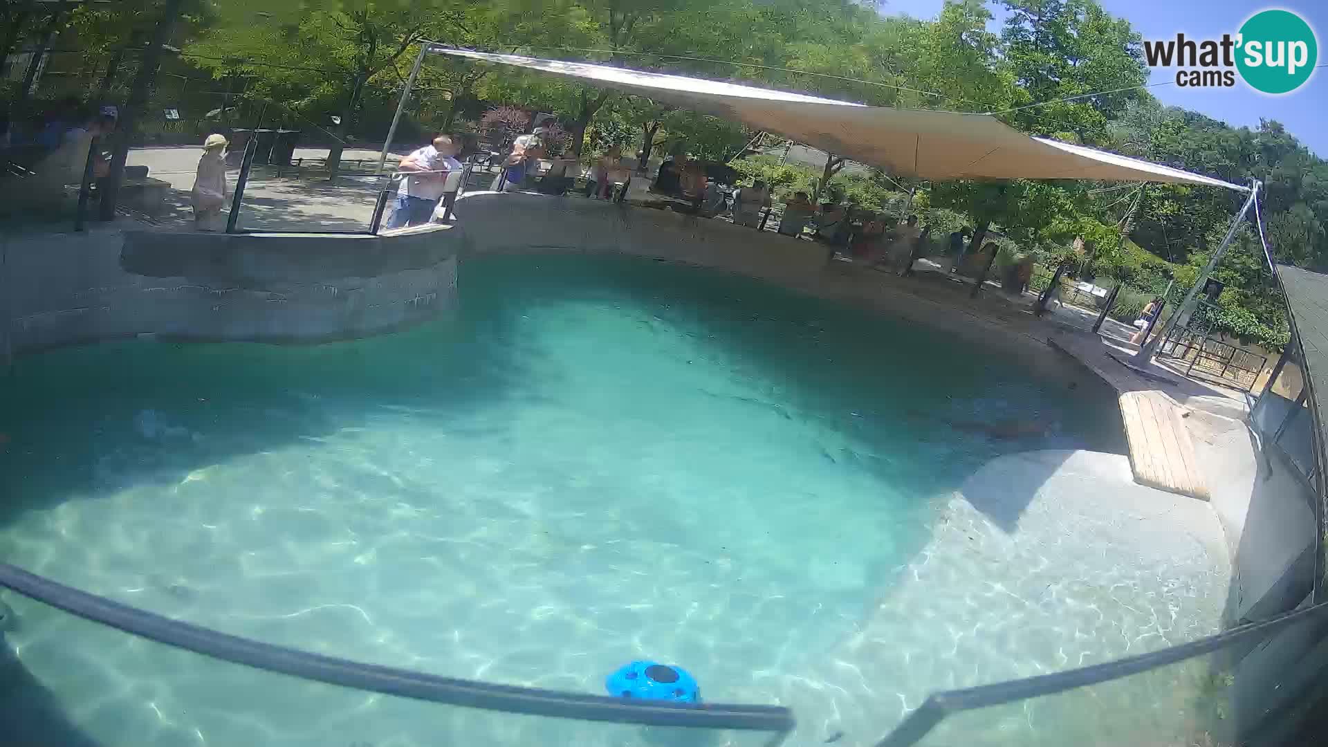 Zoo Zagreb – California Sea Lion