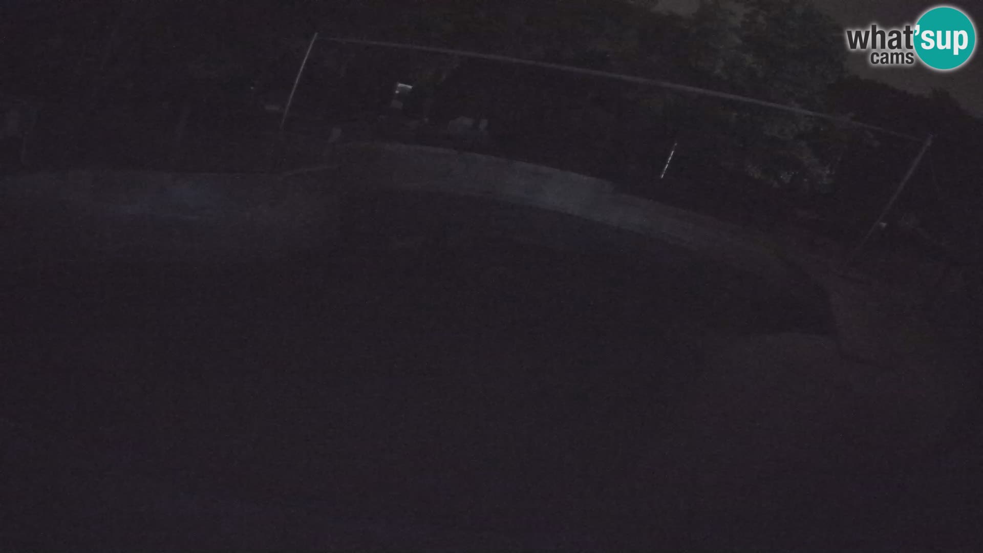 Zoo Zagreb – California Sea Lion