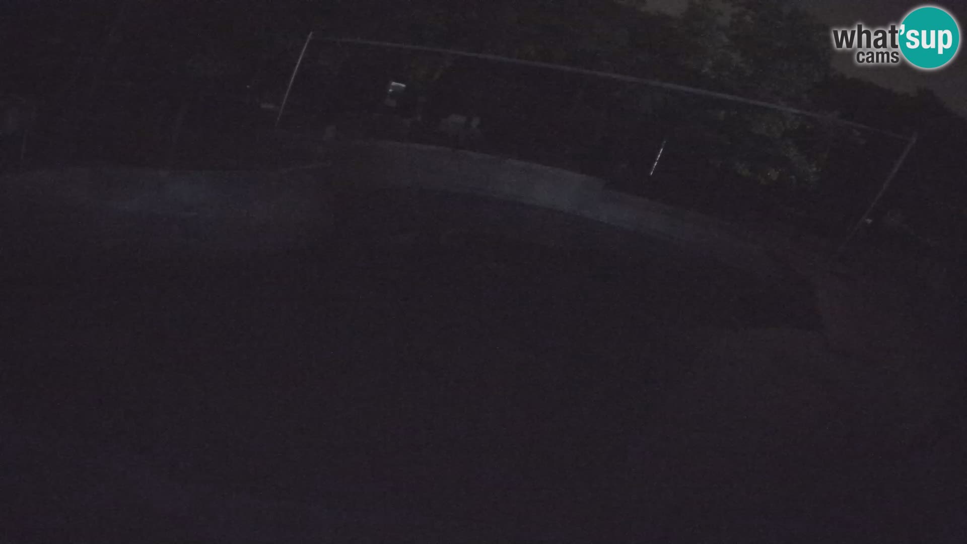 Zoo Zagreb – California Sea Lion