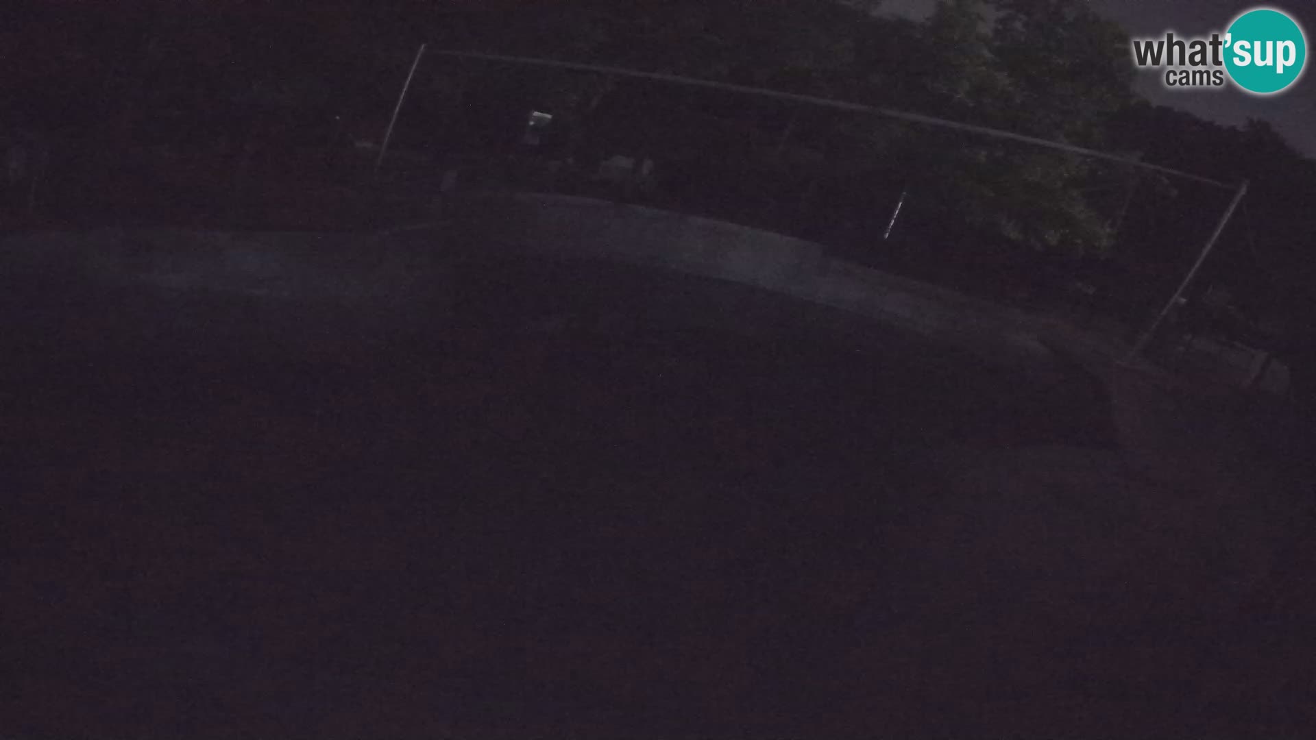 Zoo Zagreb – California Sea Lion