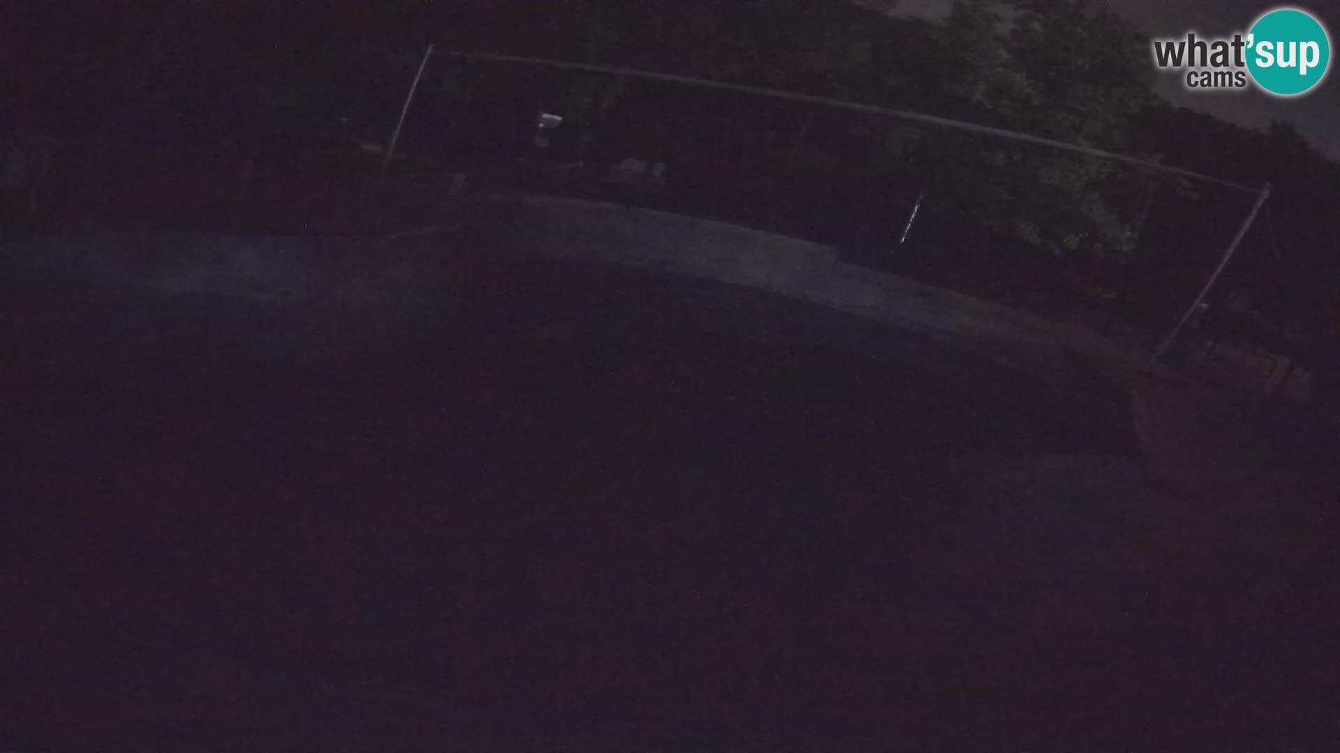 Zoo Zagreb – California Sea Lion