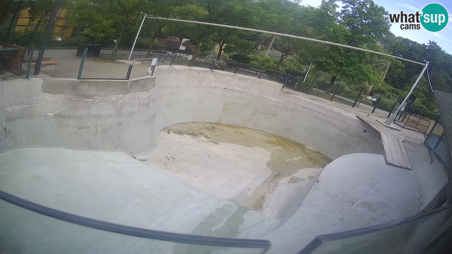 Zoo Zagreb – Kalifornijski morski lav