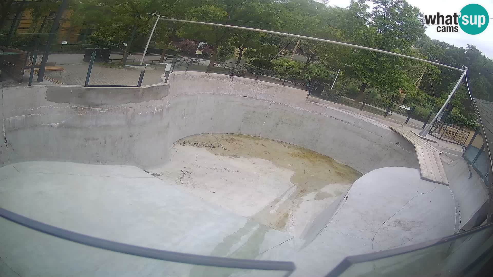 Zoo Zagreb – Kalifornijski morski lav
