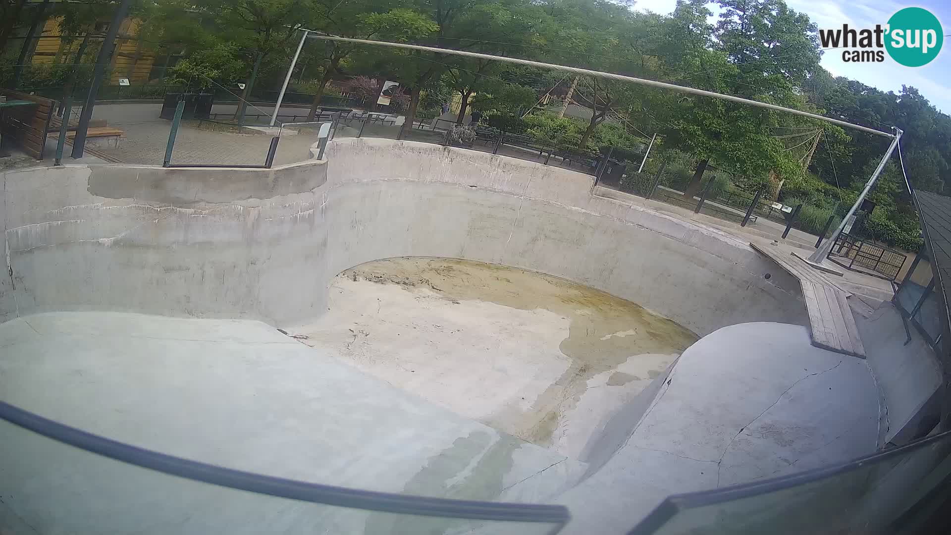 Zoo Zagreb – Kalifornijski morski lav