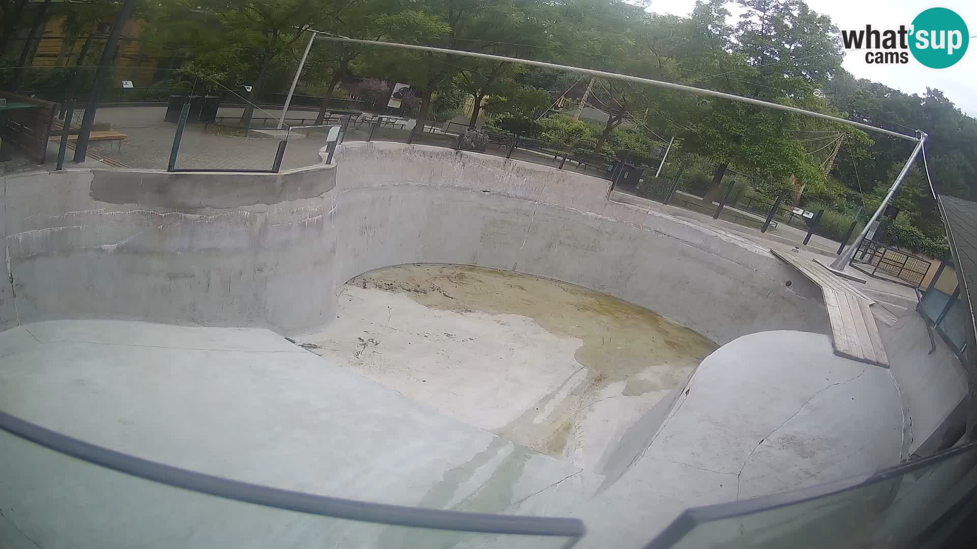 Zoo Zagreb – Kalifornijski morski lav