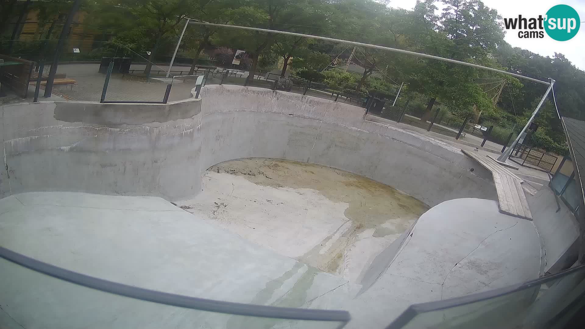 Zoo Zagreb – Kalifornijski morski lav