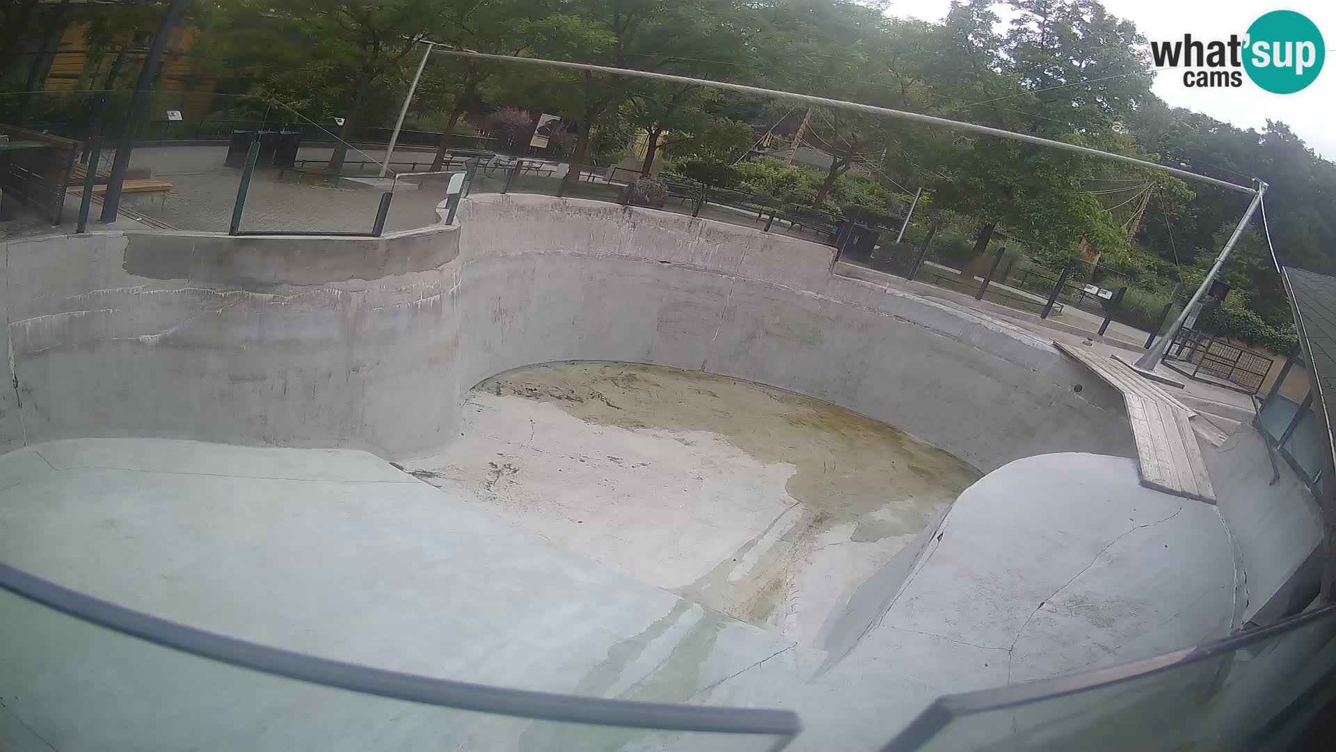Zoo Zagreb – Kalifornijski morski lav
