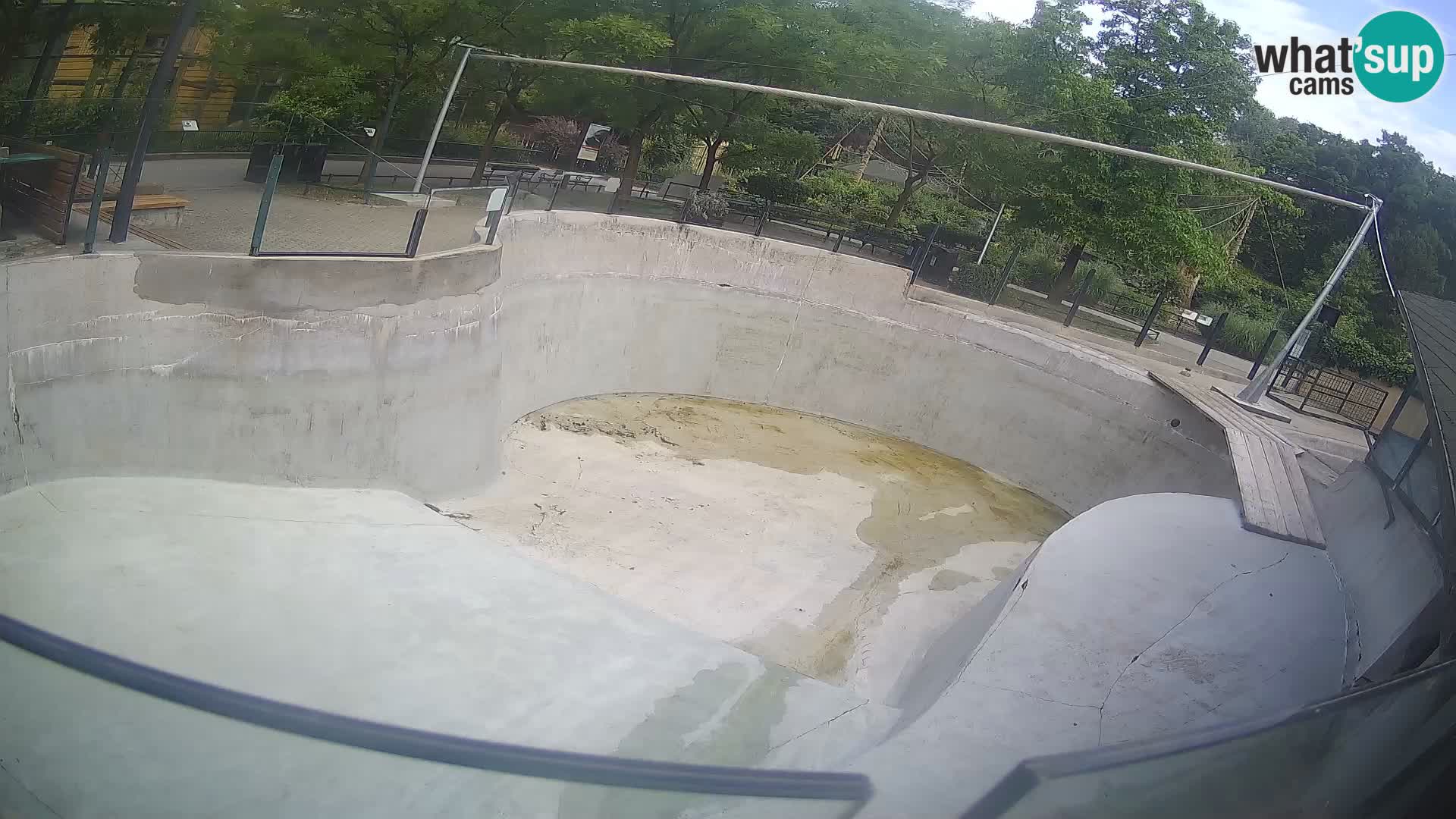 Zoo Zagreb – Kalifornijski morski lev