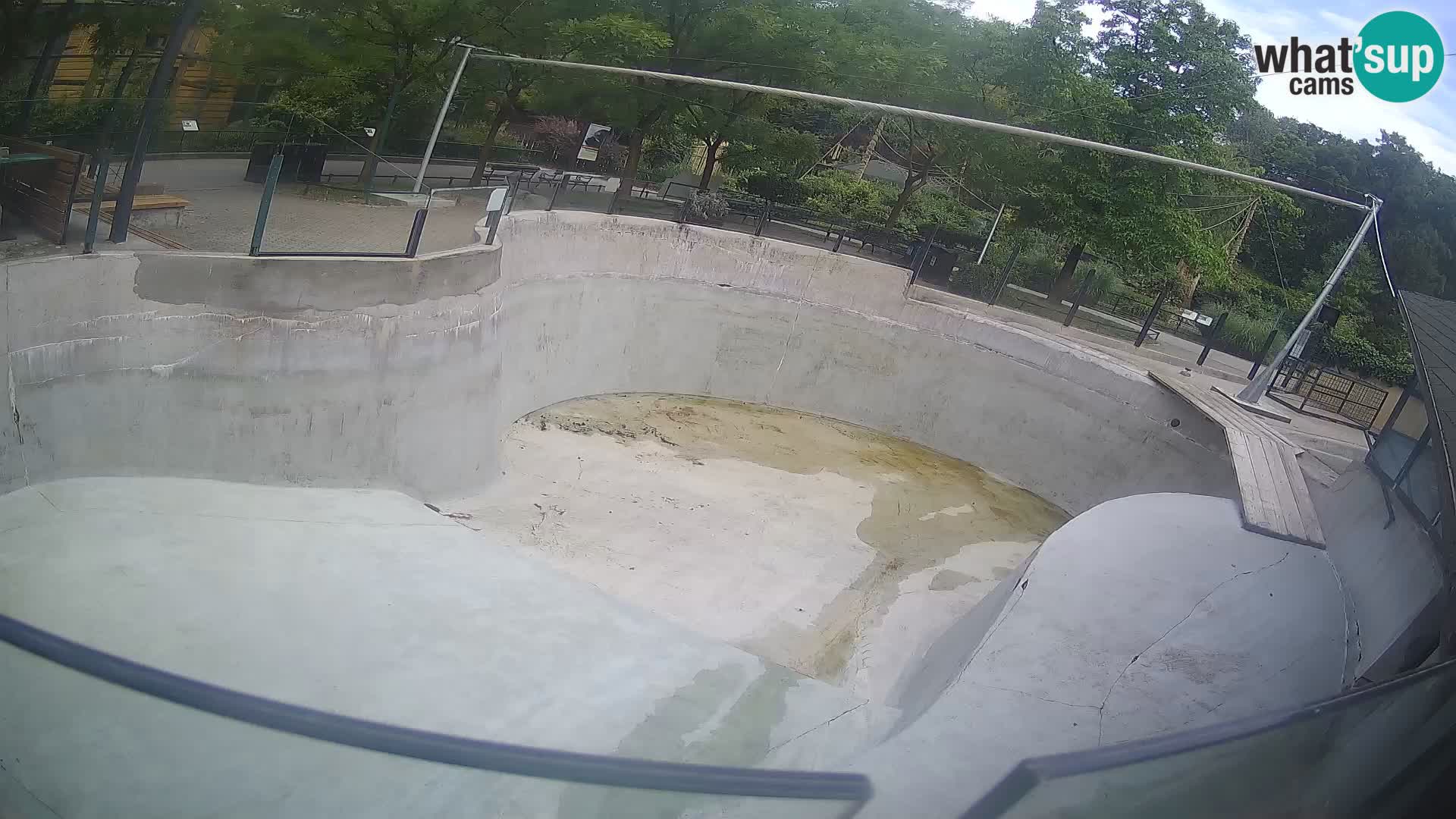 Zoo Zagreb – Kalifornijski morski lev