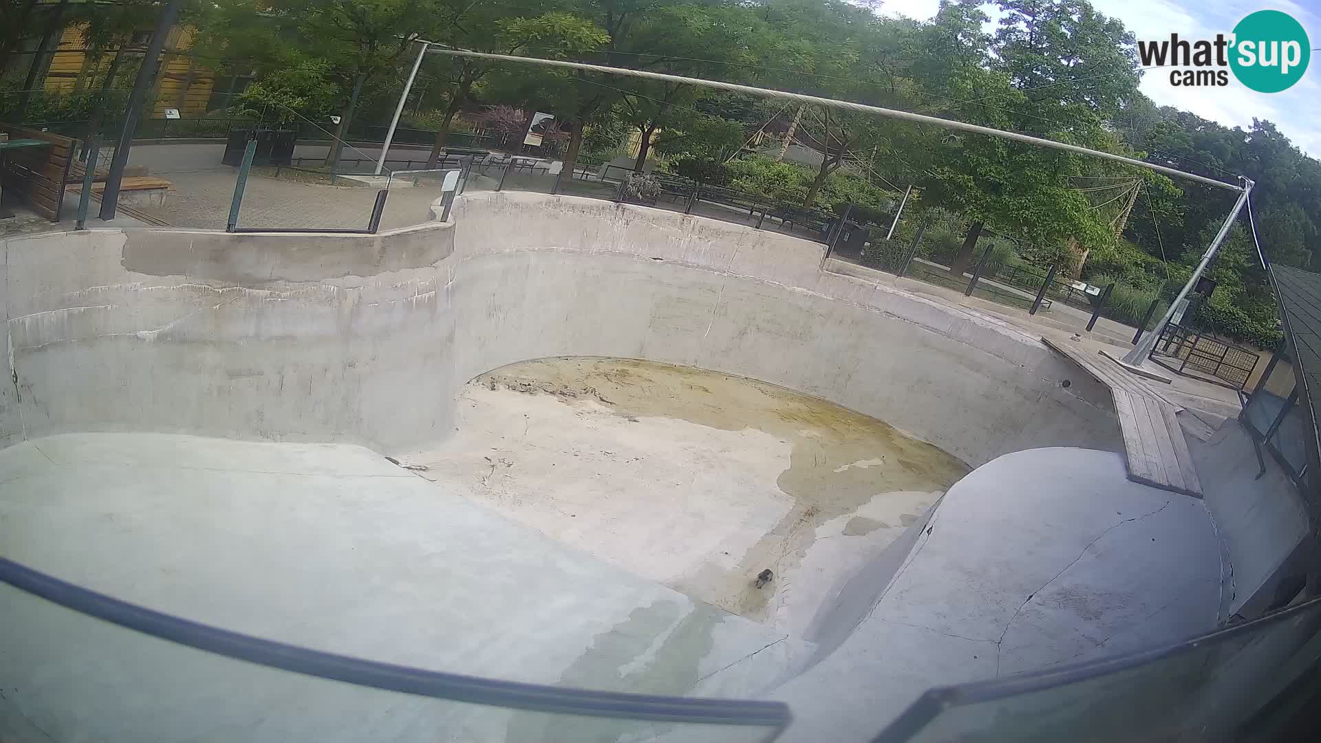 Zoo Zagreb – Kalifornijski morski lev
