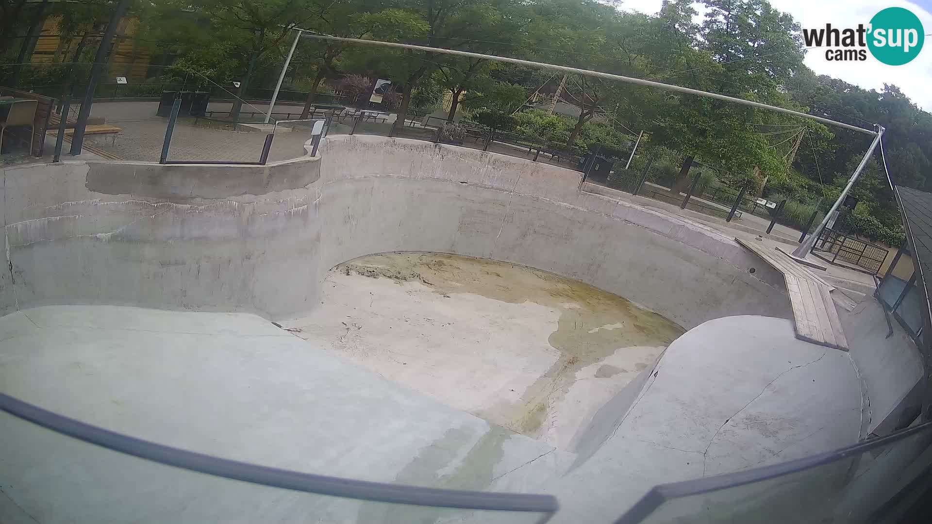 Zoo Zagreb – Kalifornischer Seelöwe