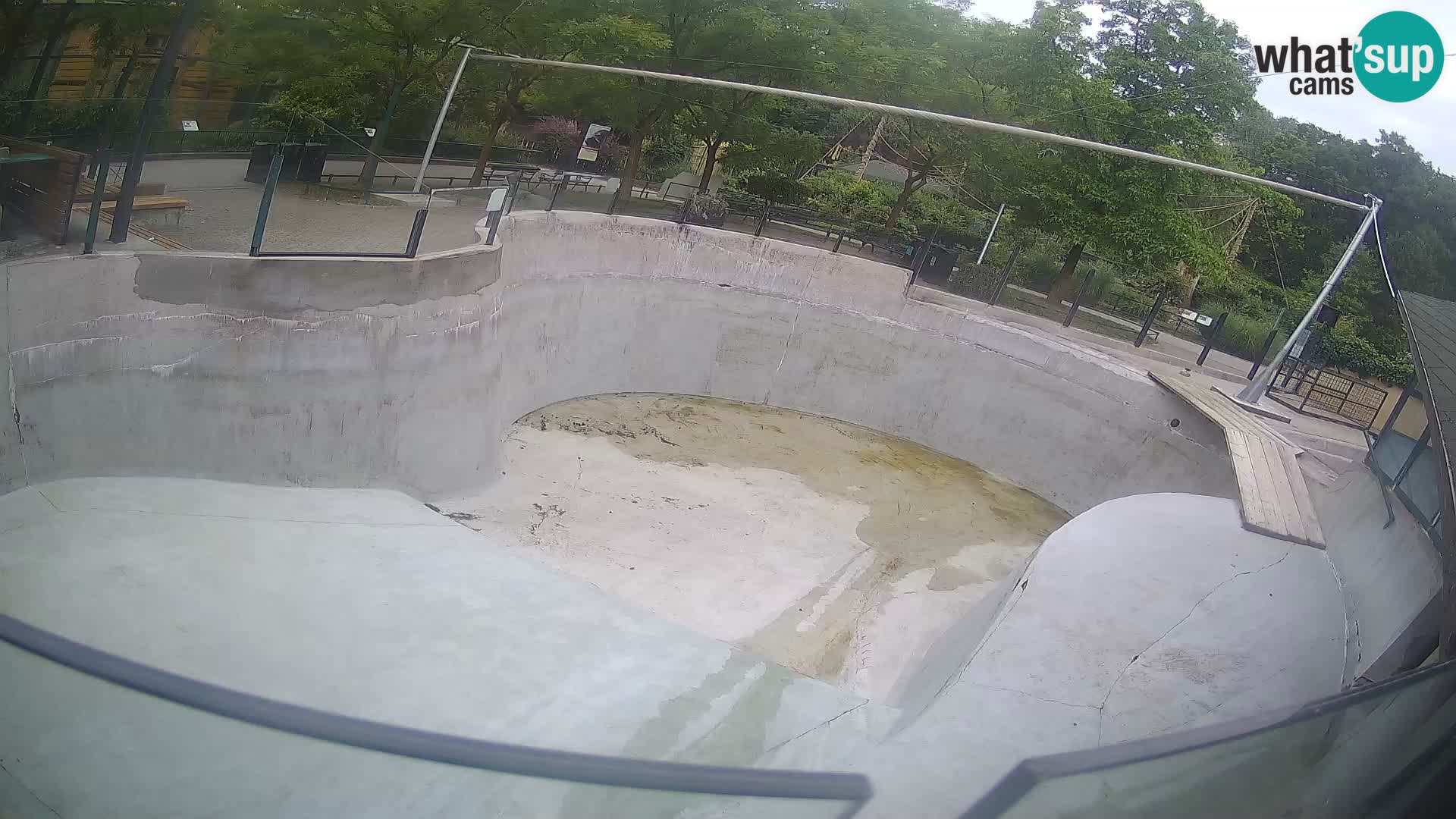 Zoo Zagreb – Kalifornijski morski lav