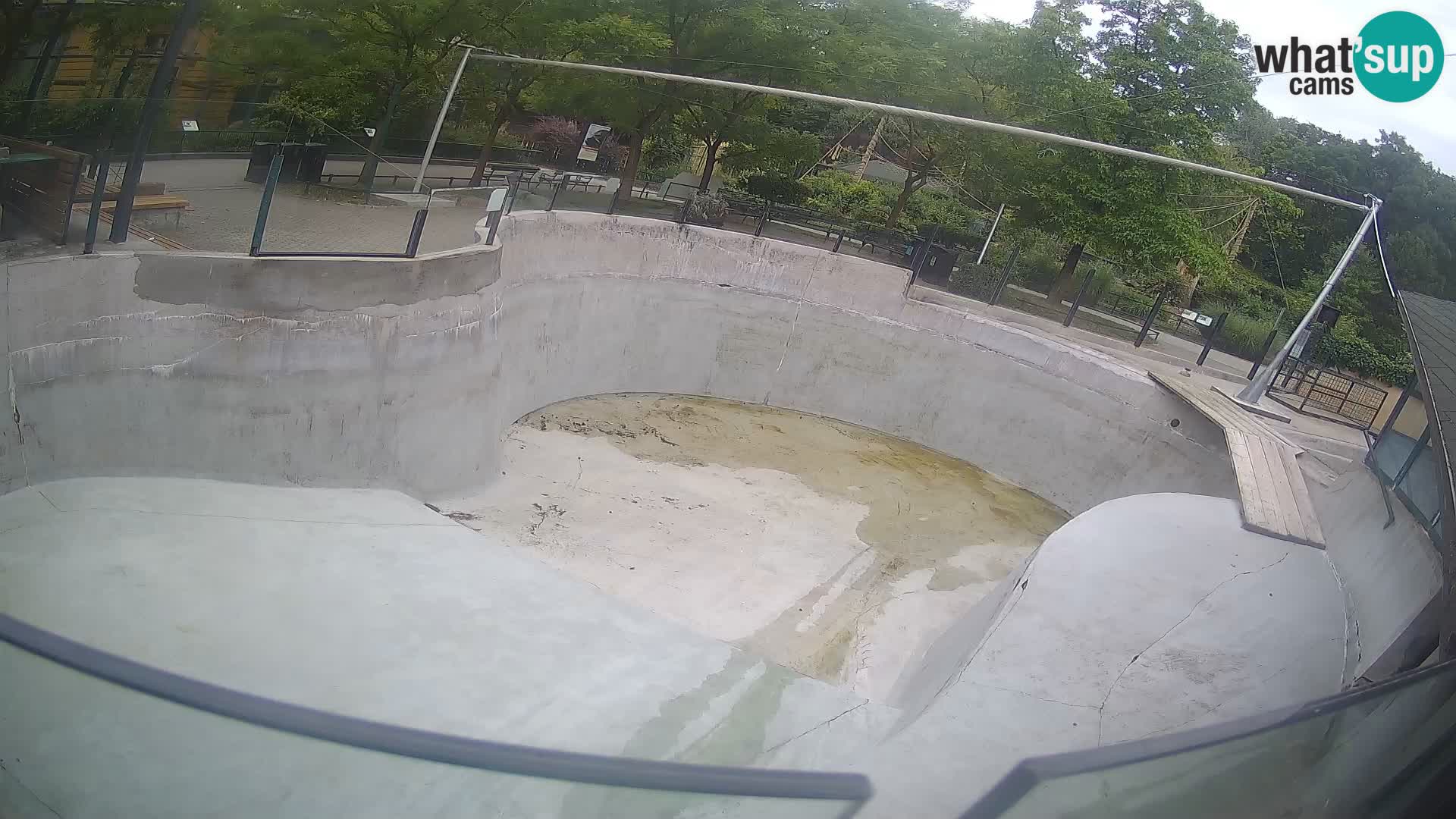 Zoo Zagreb – Kalifornijski morski lev