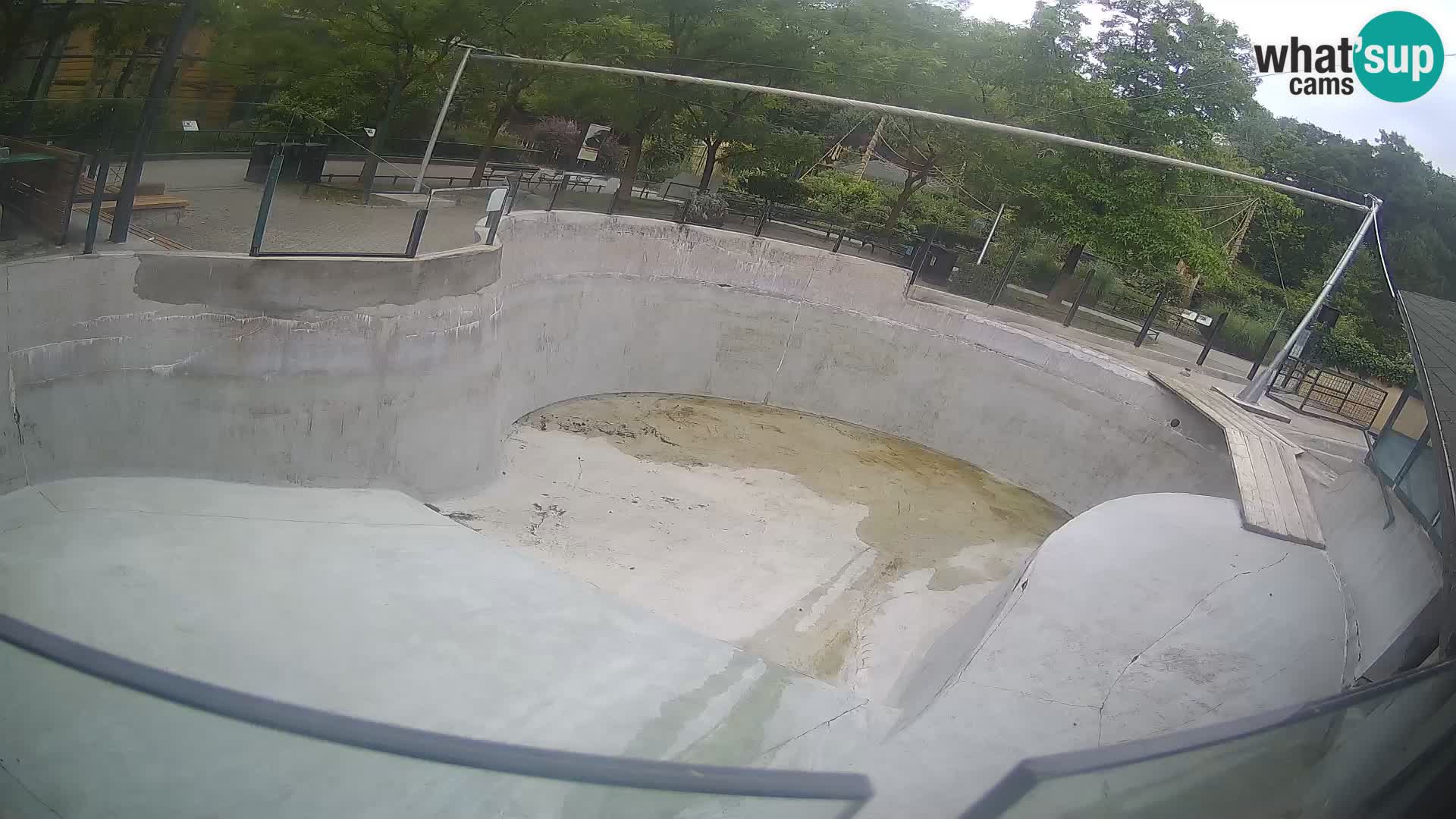 Zoo Zagreb – Kalifornischer Seelöwe