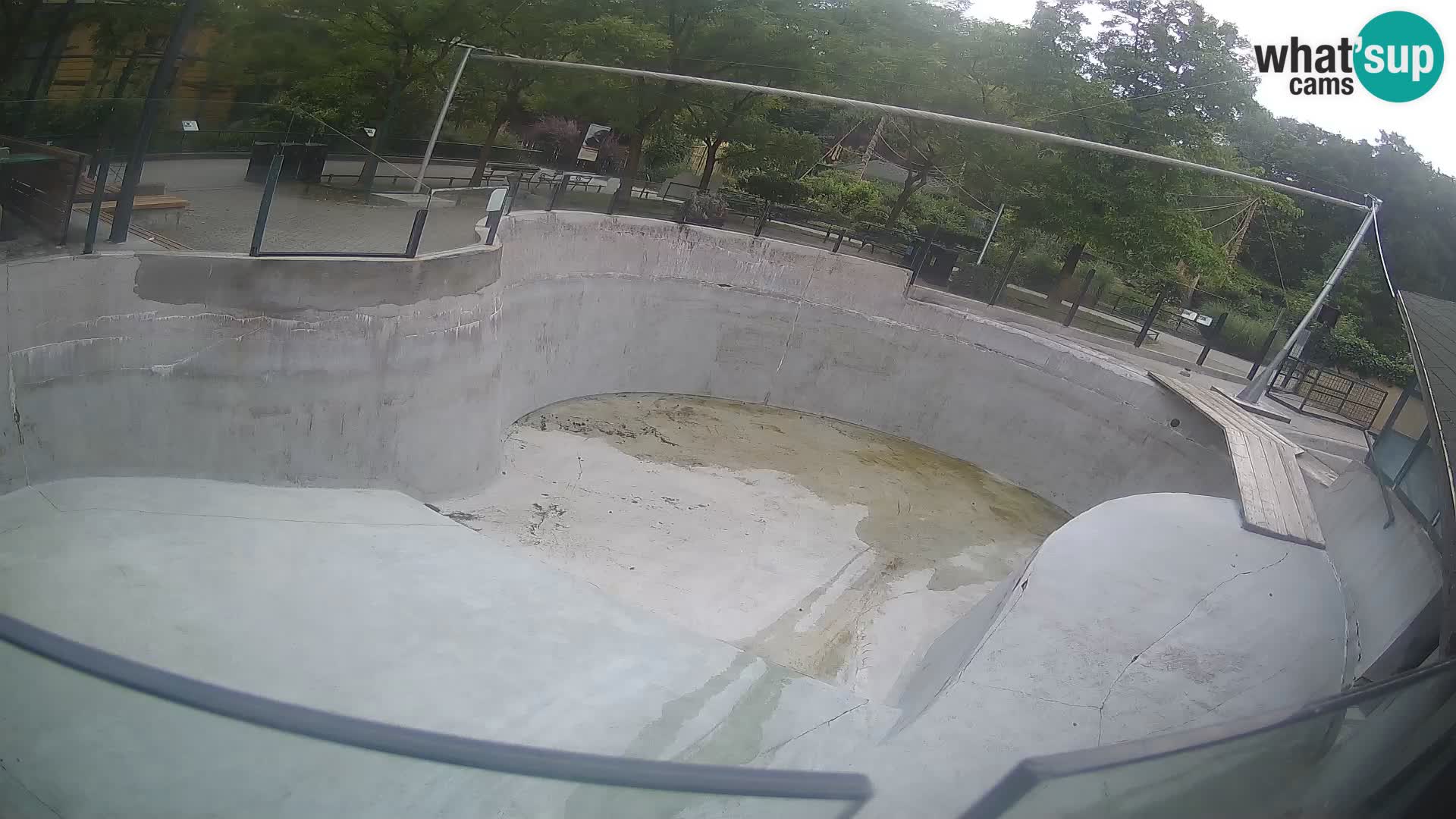 Zoo Zagreb – Kalifornijski morski lev