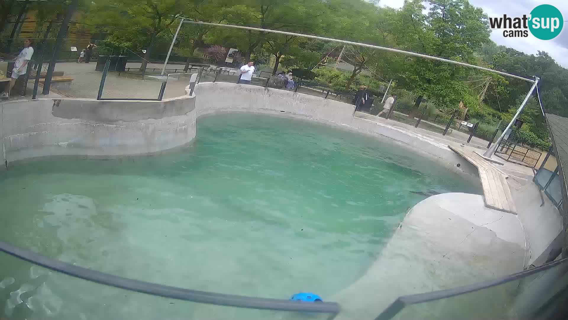 Zoo Zagreb – Kalifornijski morski lav