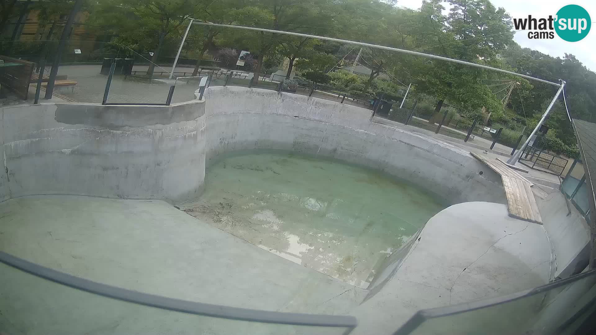 Zoo Zagreb – Kalifornijski morski lav