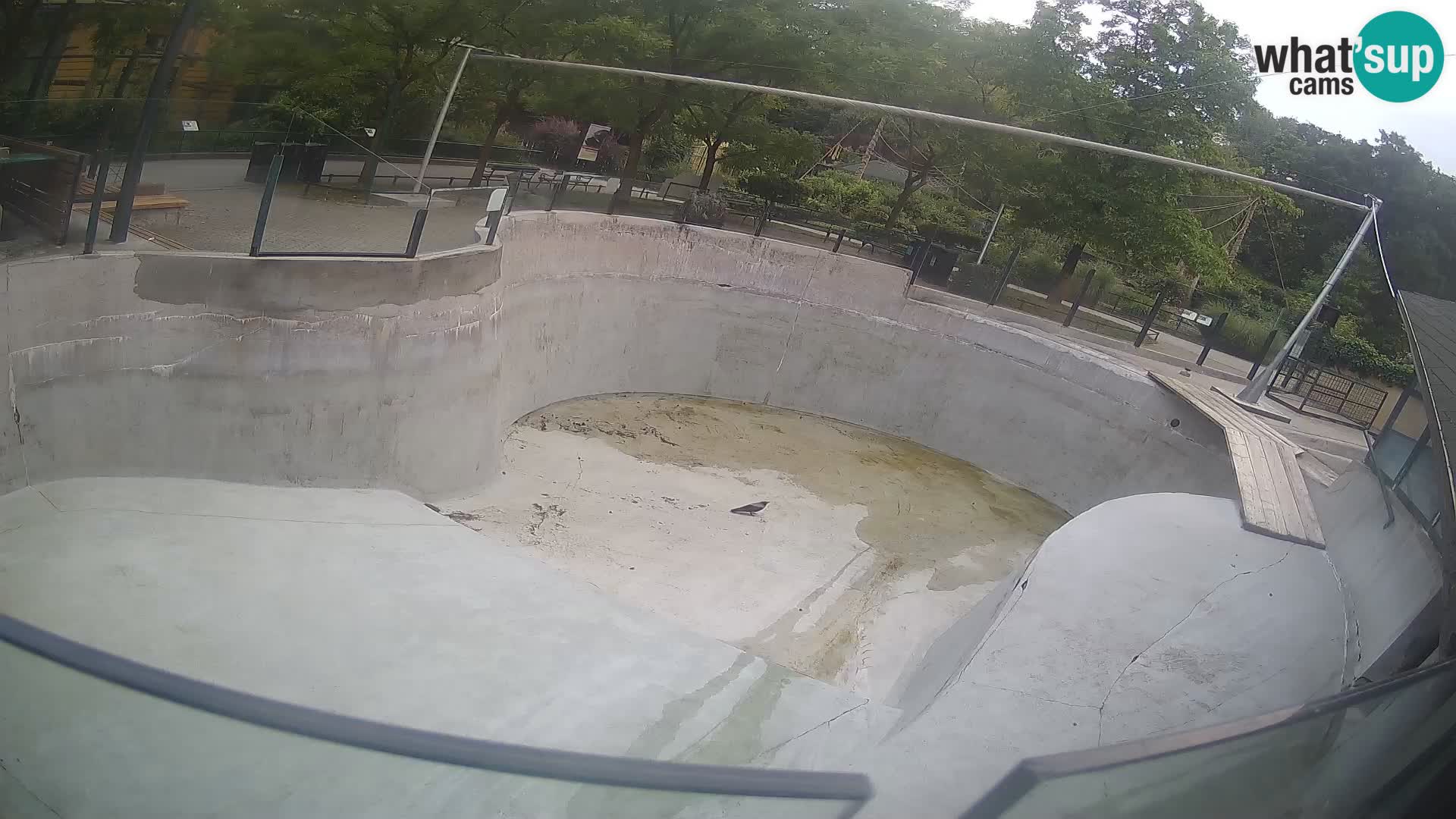 Zoo Zagreb – Kalifornijski morski lav