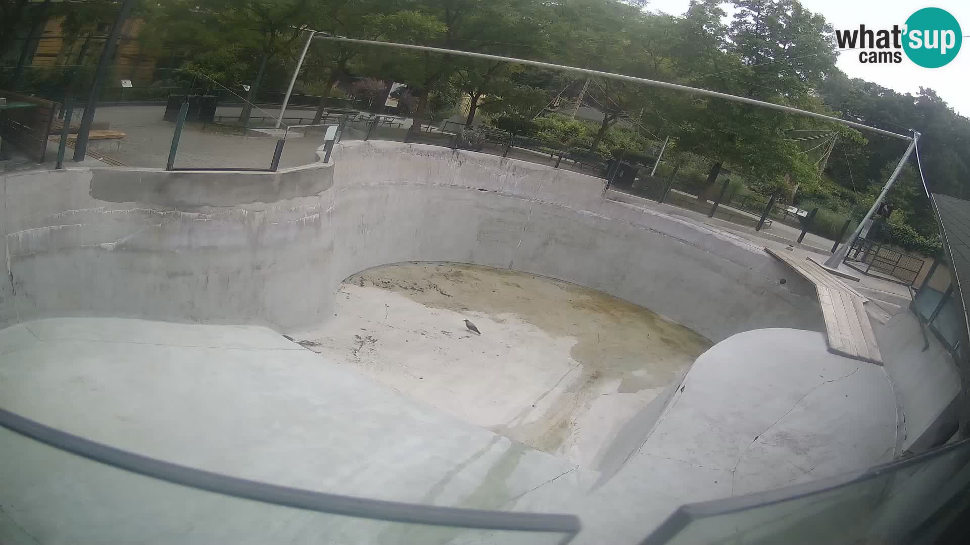 Zoo Zagreb – Kalifornijski morski lev